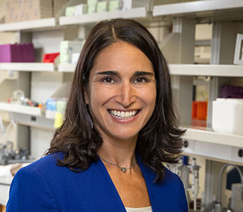 Chemical Science chooses Shafaat group's model of CO2-converting enzyme,  carbon monoxide dehydrogenase, as Pick of the Week – UCLA