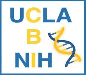 NIH renews UCLA Chemistry-Biology Interface (CBI) Predoctoral Research  Training Grant – UCLA